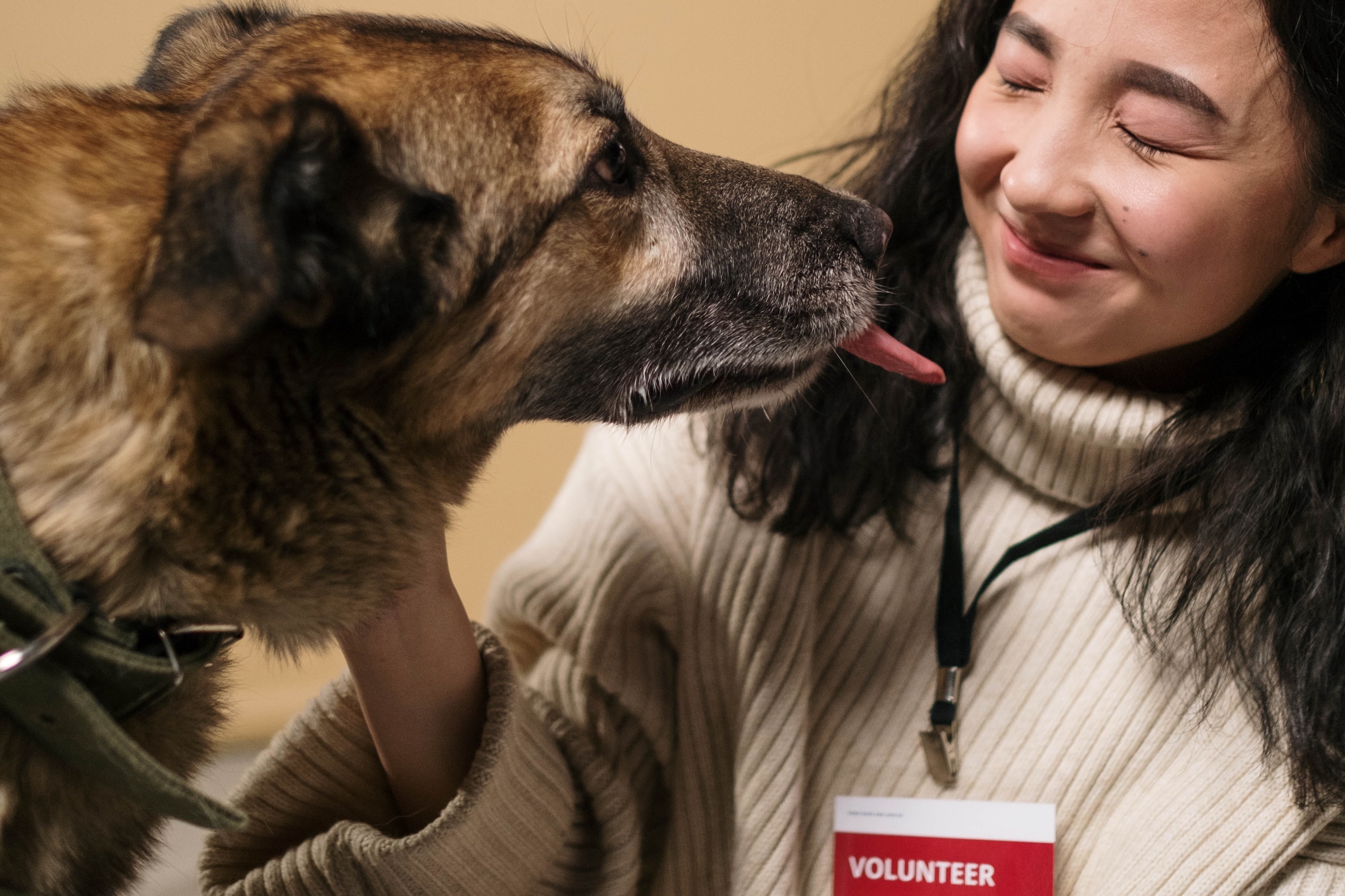 Volunteering at an Animal Shelter